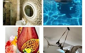 Carpe Diem Murighiol